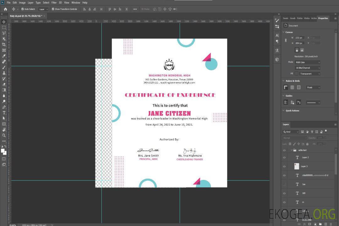 Certifié de pom-pom girl des États-Unis template Certifié de pom-pom girl des États-Unis template